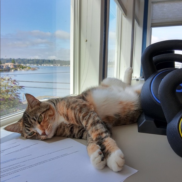 Hello 🥰 - Picture 5 of 8